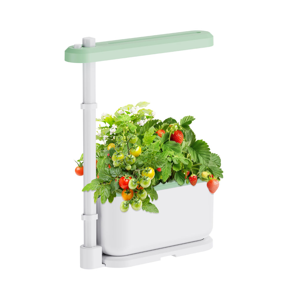 Выращивайте свежую зелень круглый год: гидропонная установка ENDEVER Garden-1 уже в продаже!