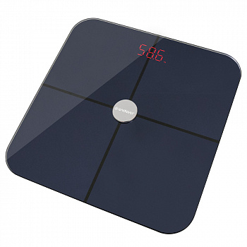 Электронные весы ENDEVER AURORA-568
