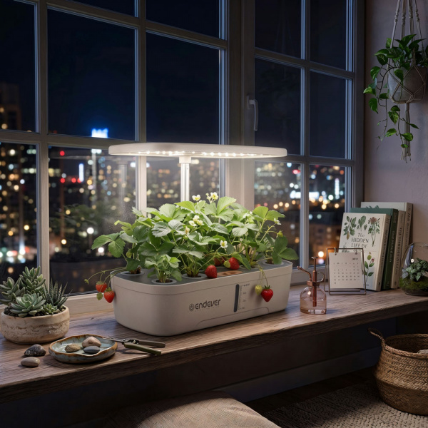 Гидропонная установка ENDEVER Garden-2